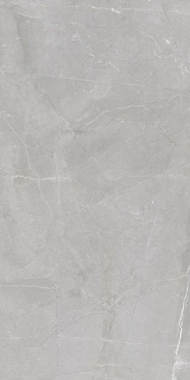 Luxury Amani Grey Polished 12 x 24